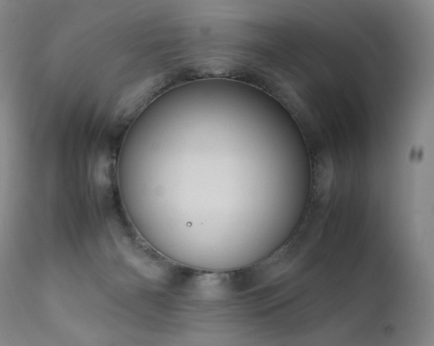 X0000111920126200907271258