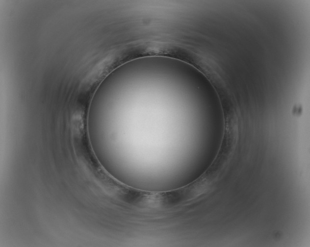X0000111920127200907271258