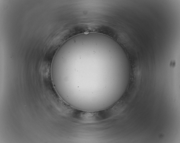 X0000111920129200907271258
