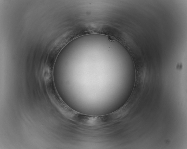 X0000111920130200907271258