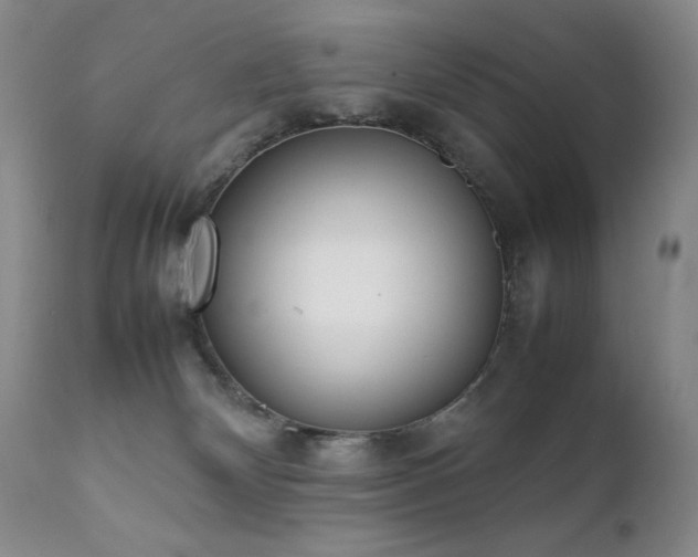 X0000111920132200907271258