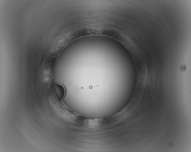 X0000111920134200907271258