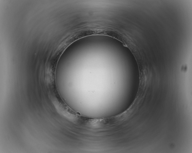 X0000111920136200907271258