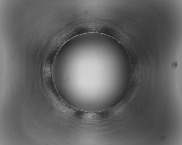 X0000111920137200907271258