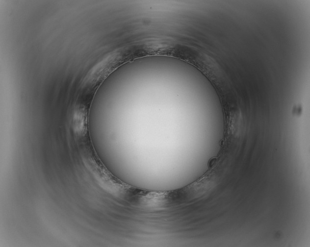 X0000111920138200907271258
