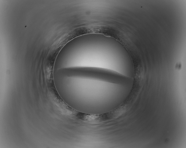 X0000111920139200907271258