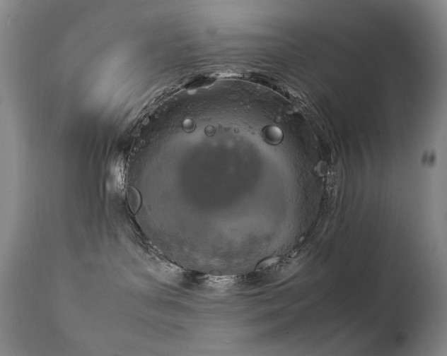X0000111920143200907271258