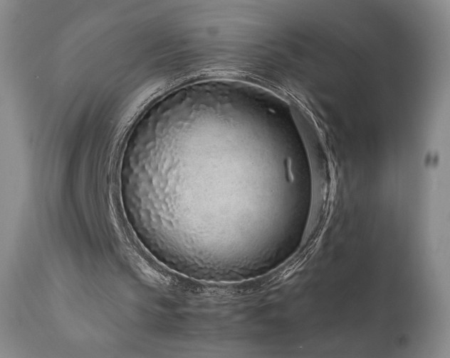 X0000111920145200907271257