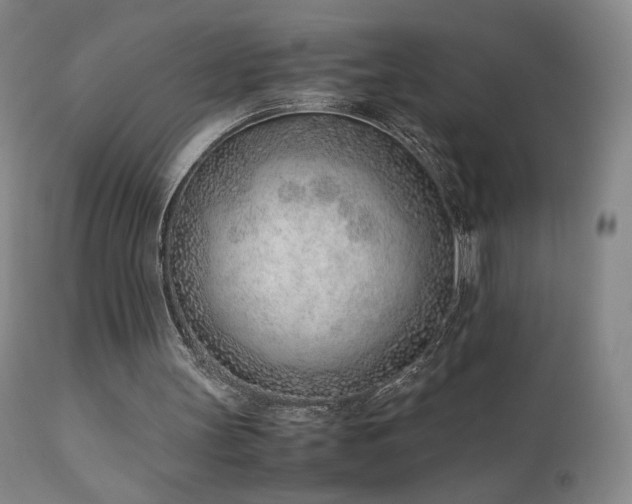 X0000111920147200907271257