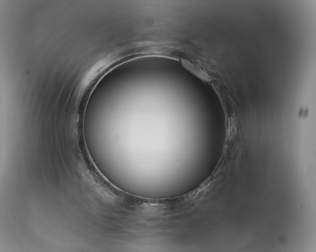 X0000111920150200907271257