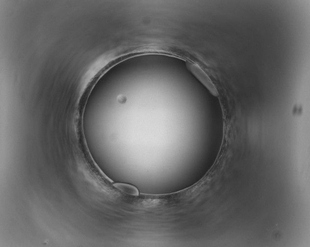 X0000111920152200907271257