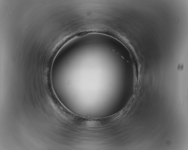 X0000111920154200907271257