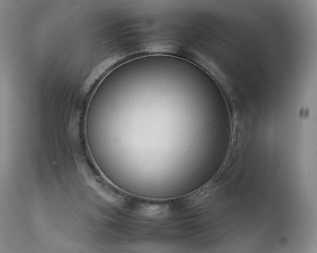 X0000111920155200907271257