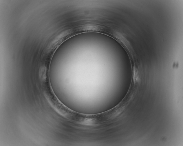 X0000111920157200907271257