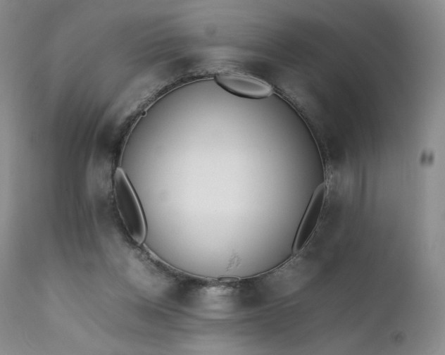 X0000111920158200907271257