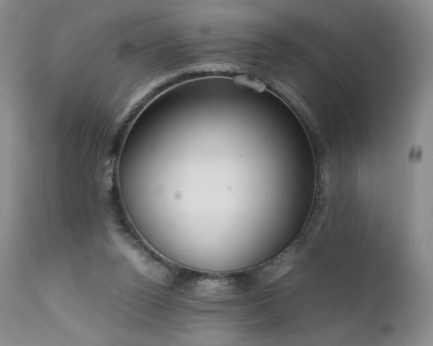 X0000111920160200907271257