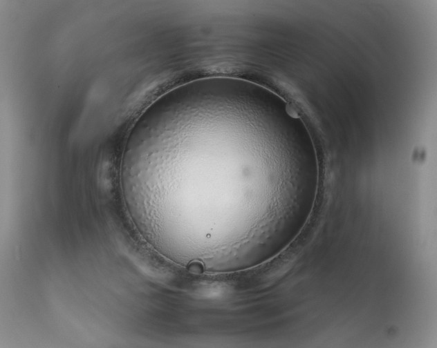 X0000111920161200907271257