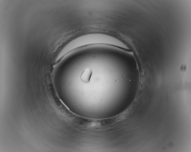 X0000111920162200907271258