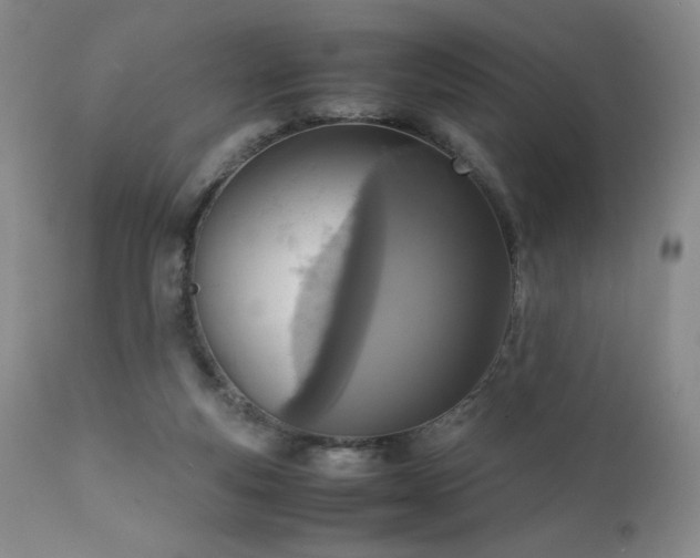 X0000111920163200907271258