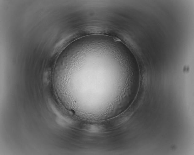 X0000111920165200907271258