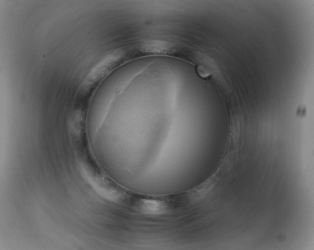 X0000111920167200907271258