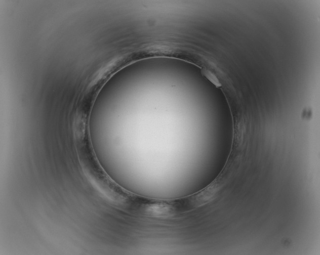 X0000111920168200907271258