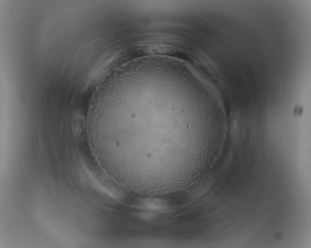 X0000111920169200907271258