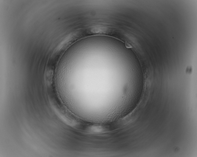 X0000111920171200907271258