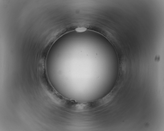 X0000111920172200907271258
