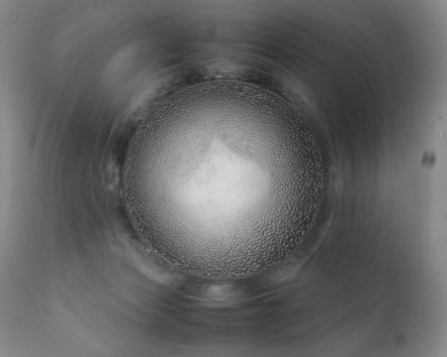 X0000111920173200907271258
