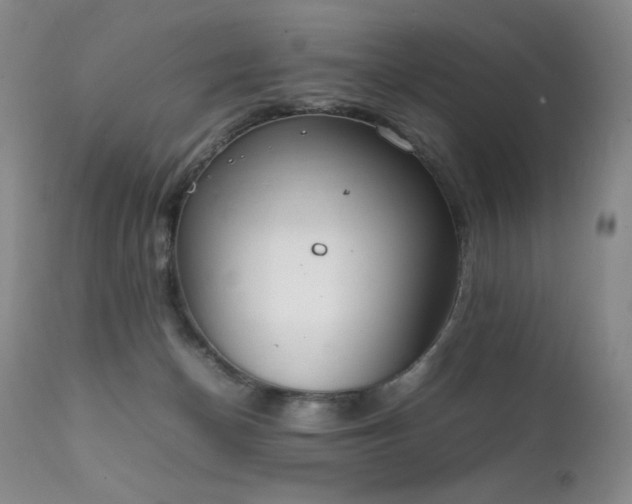 X0000111920174200907271258