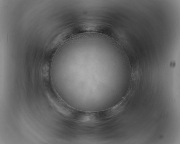 X0000111920175200907271258
