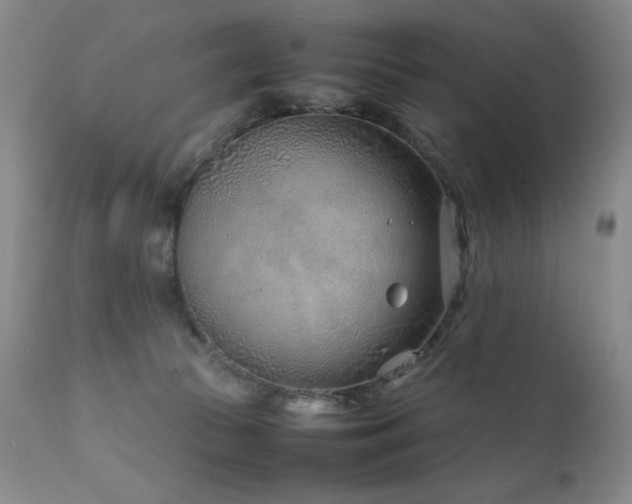 X0000111920177200907271258