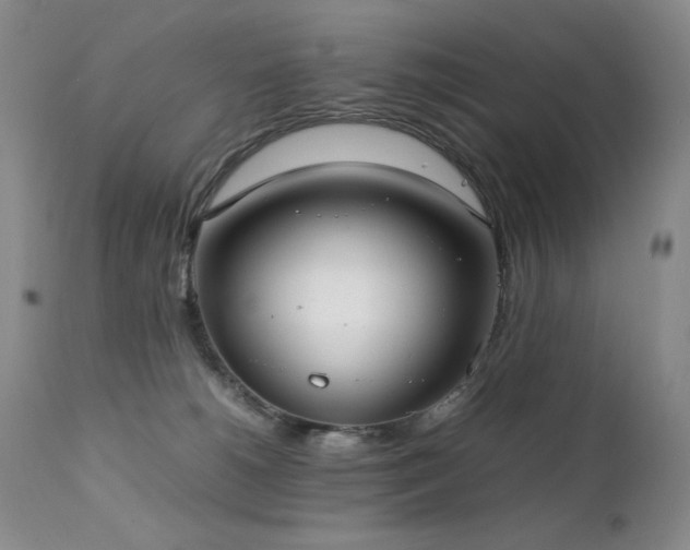 X0000111920180200907271258
