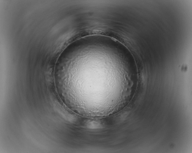 X0000111920181200907271258