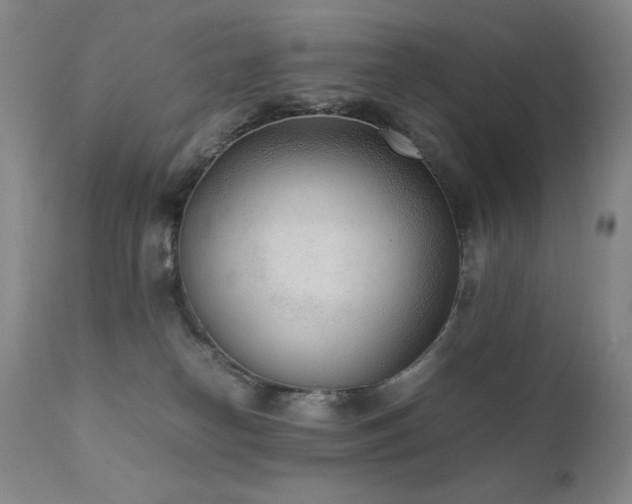 X0000111920182200907271258