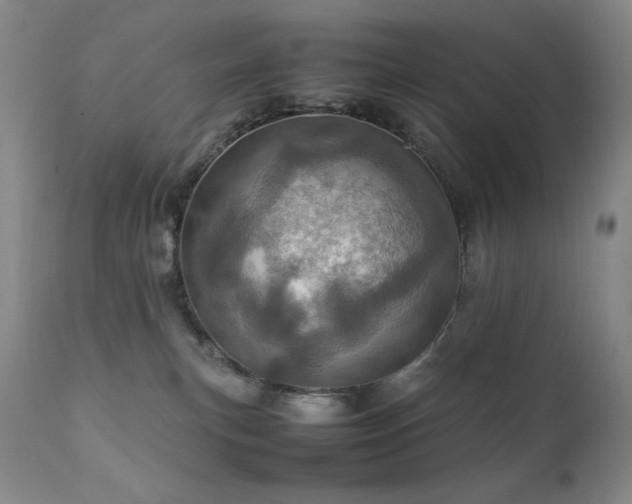 X0000111920183200907271258