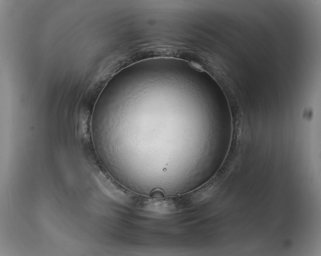 X0000111920185200907271258