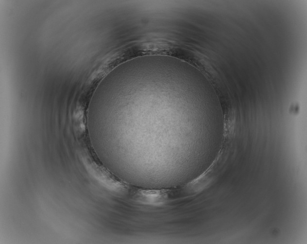 X0000111920187200907271258