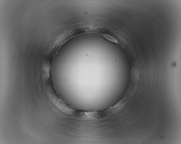 X0000111920188200907271258