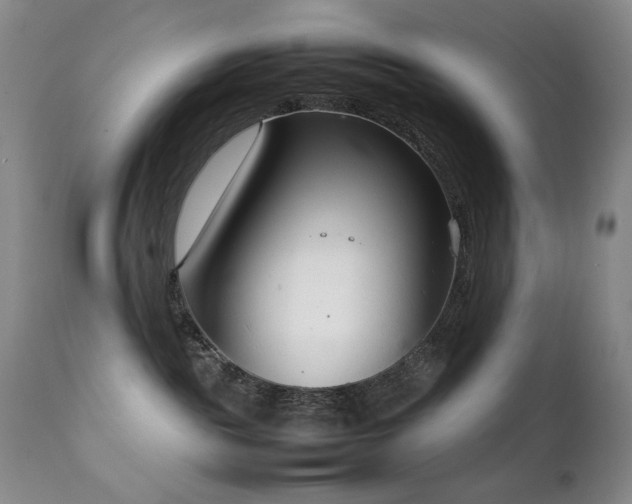 X0000111920189200907271258
