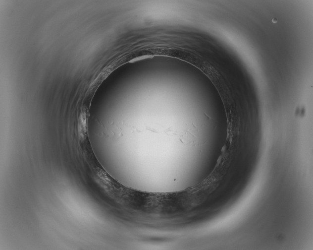 X0000111920190200907271258