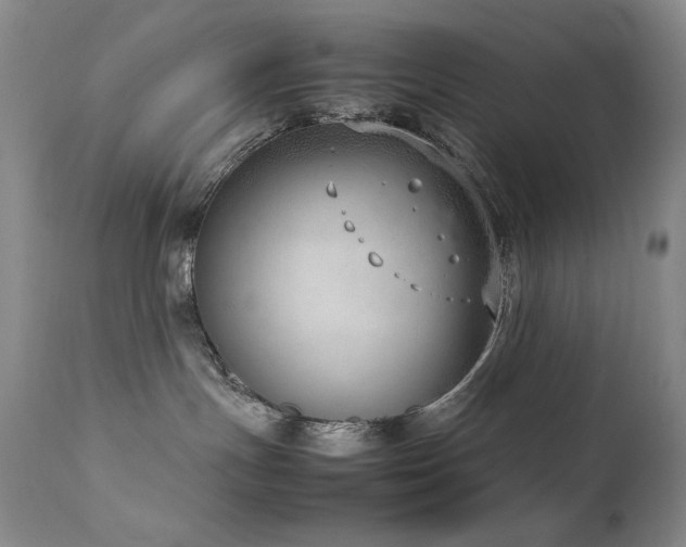 X0000111920191200907271258