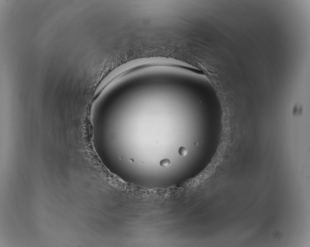 X0000111920192200907271258