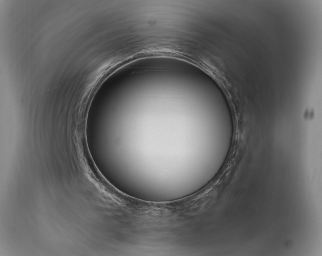 X0000111920193200907271257