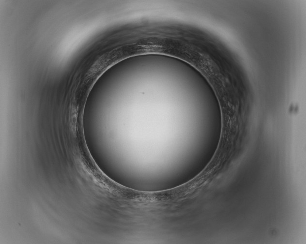 X0000111920194200907271257