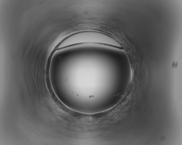 X0000111920195200907271257