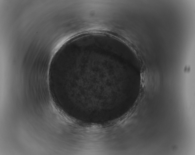 X0000111920196200907271257