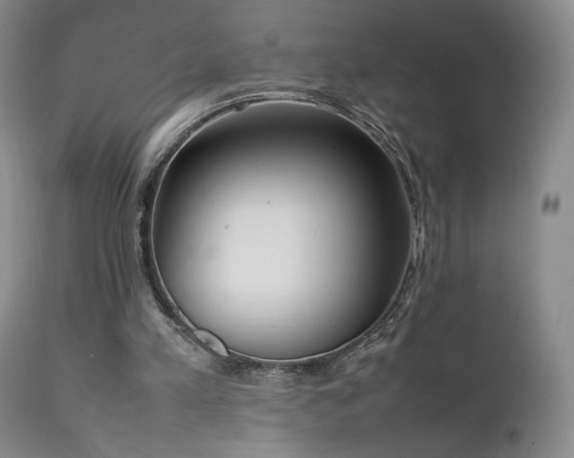 X0000111920197200907271257