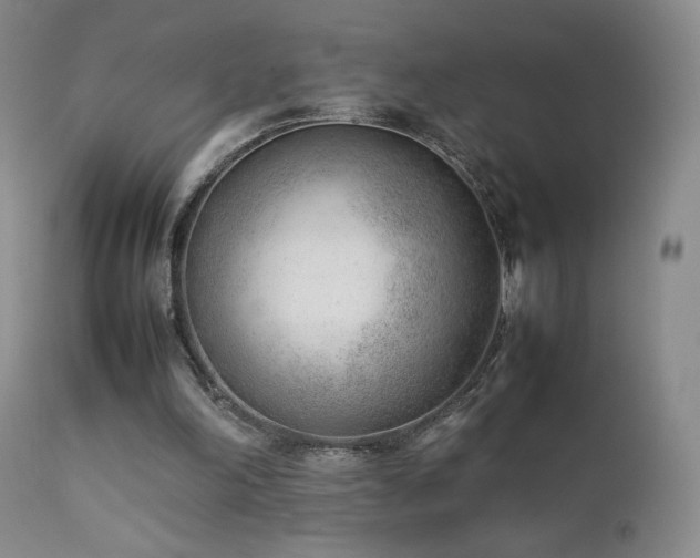 X0000111920198200907271257